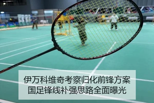 伊万科维奇考察归化前锋方案 国足锋线补强思路全面曝光
